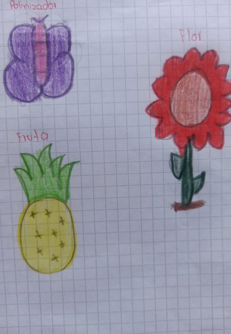 21_REINA VALLEJO NICOLAS JOSUE _10AÑOS_GRADO_5_2_SUCREJM (1)
