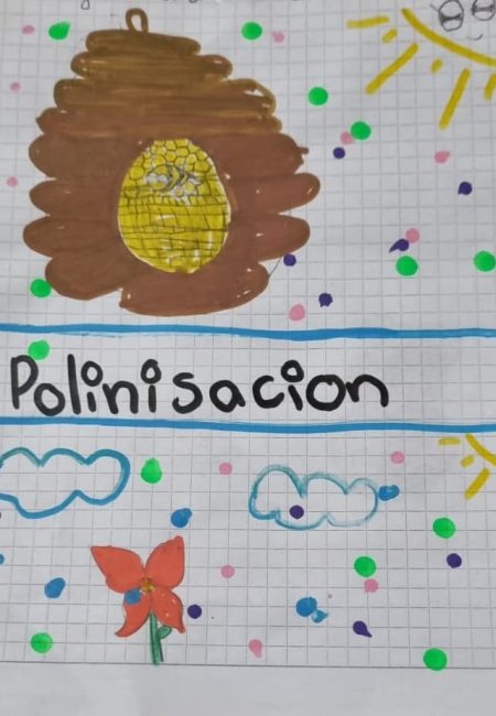 28_QUISTANCHALA INAMPUEZ ANGELA CRISTINA_8AÑOS_3_1_SUCRE