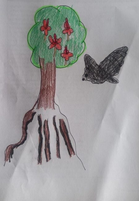 2_AZA TUCANES LAURA YULIETH_10AÑOS_GRADO 5_1_SUCRE_JM