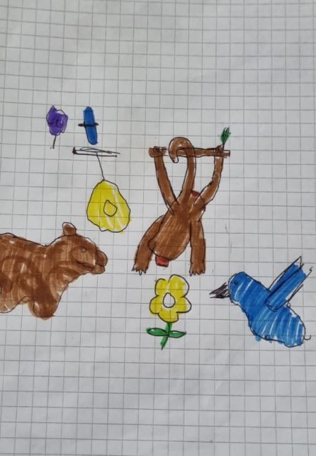 5_CABRERA BENAVIDES ANDRES CAMILO_8AÑOS_3_1_SUCRE
