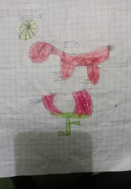 7 _ CEBALLOS ORTIZ MIGUEL ALEJANDRO _ 9 AÑO _ GRADO 4 _ 1 _ SUCREJMS