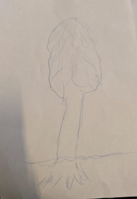 Nayibe
