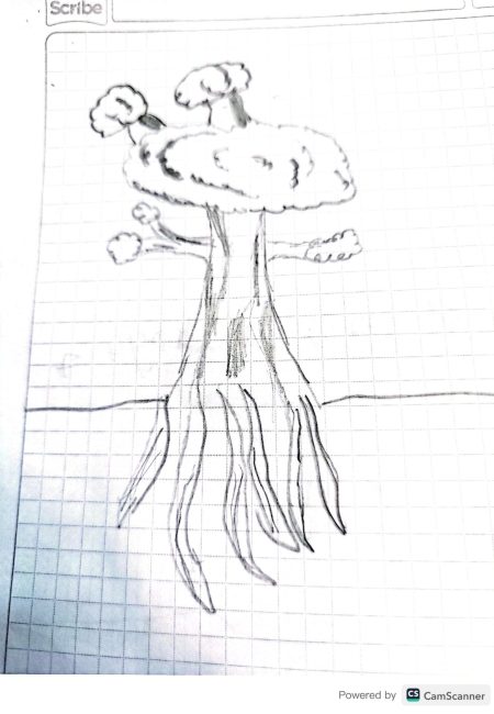 Wilson