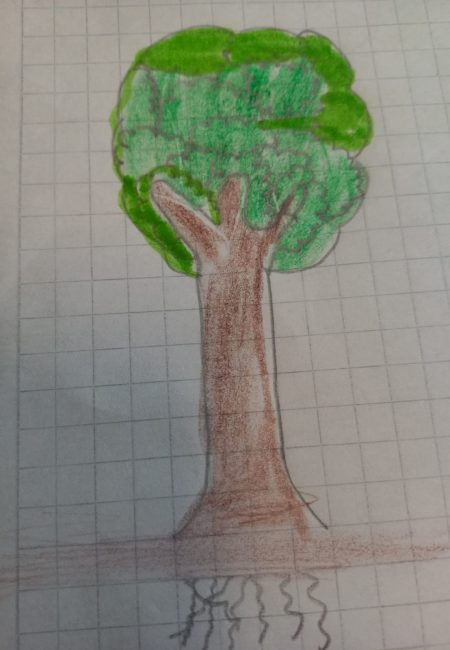 Braulio
