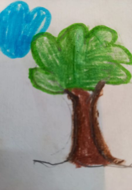 David
